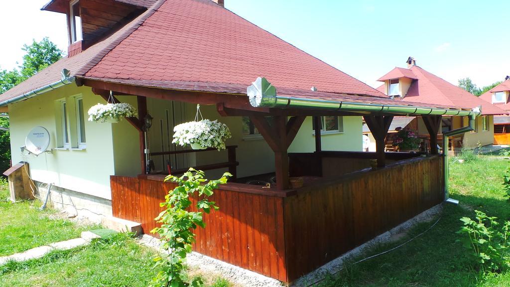 Villa Casa Ada Arpaşu de Sus Habitación foto